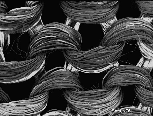 Dermasilk dödar ett brett spektrum av bakterier och svampar